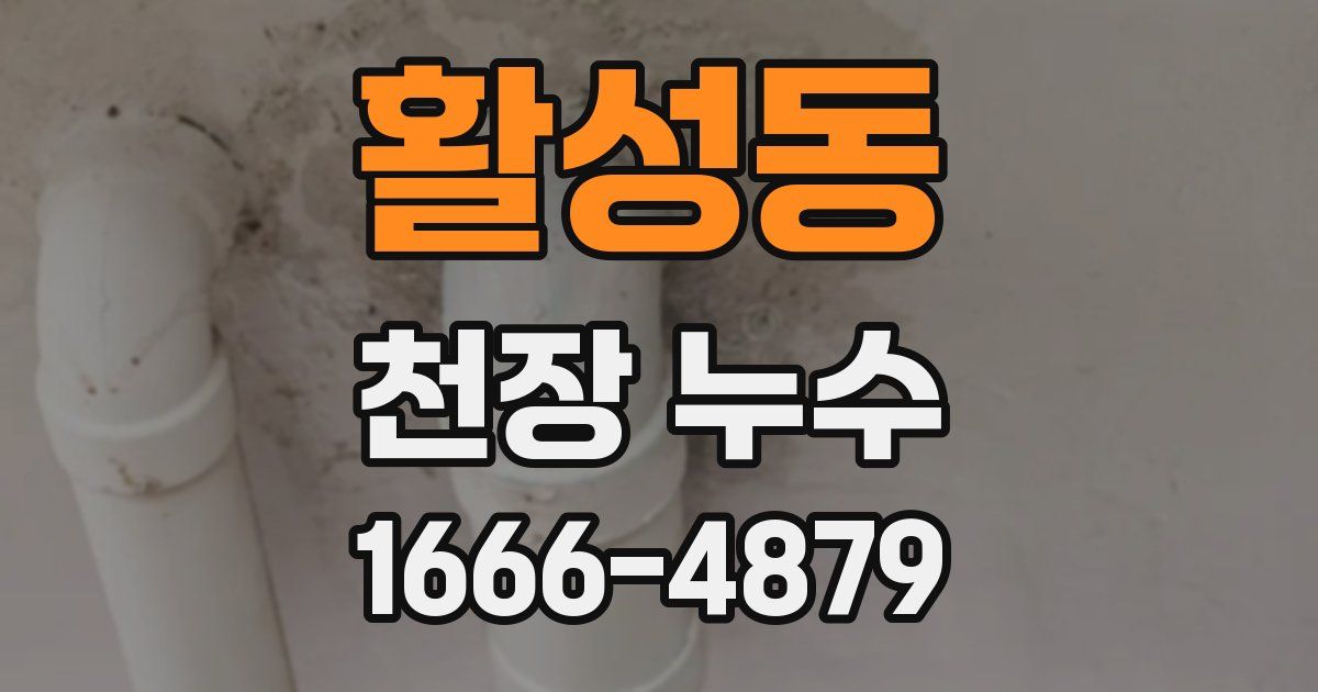 활성동 천장 누수
