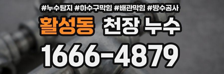 활성동 천장 누수