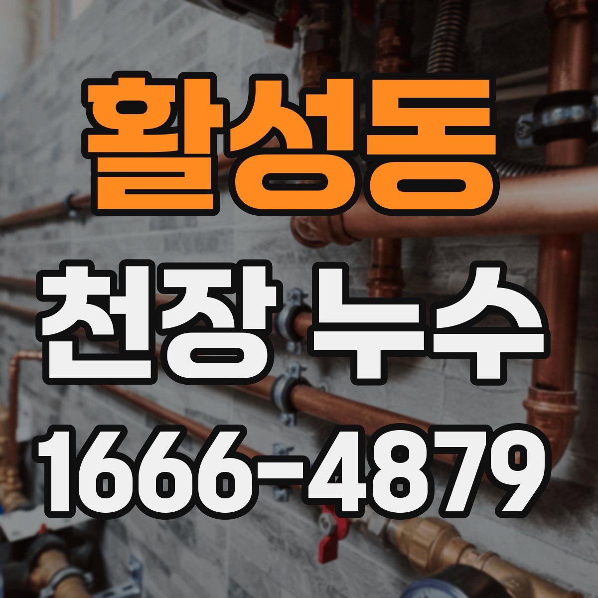 활성동 천장 누수