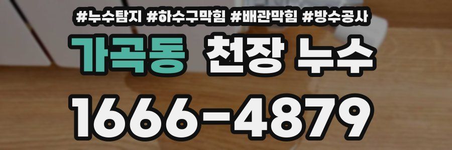 가곡동 천장 누수