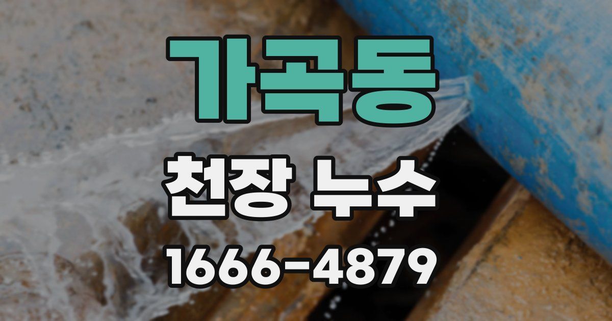 가곡동 천장 누수