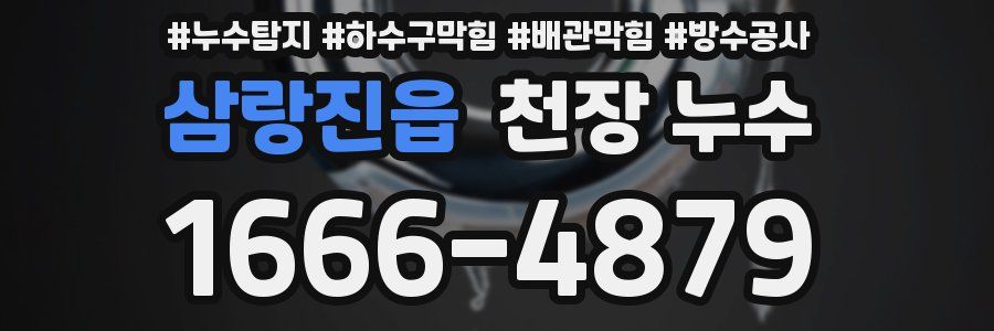 삼랑진읍 천장 누수