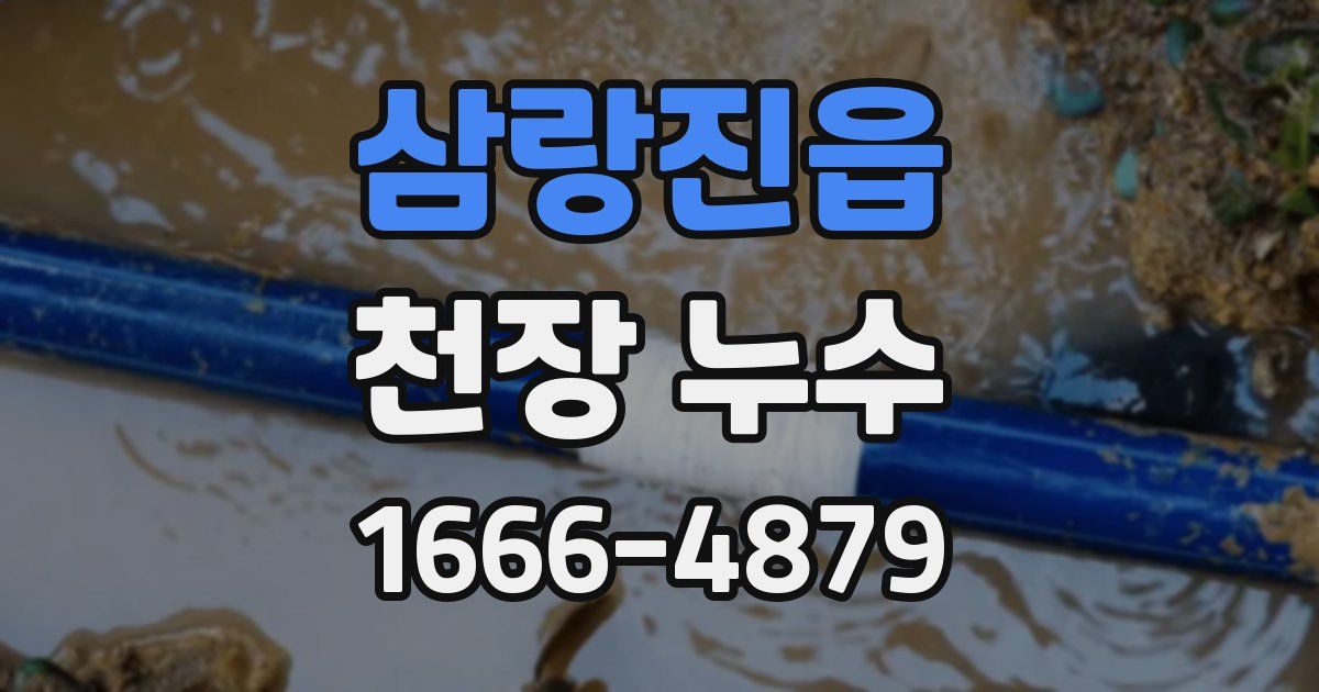 삼랑진읍 천장 누수
