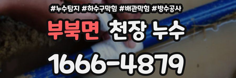 부북면 천장 누수