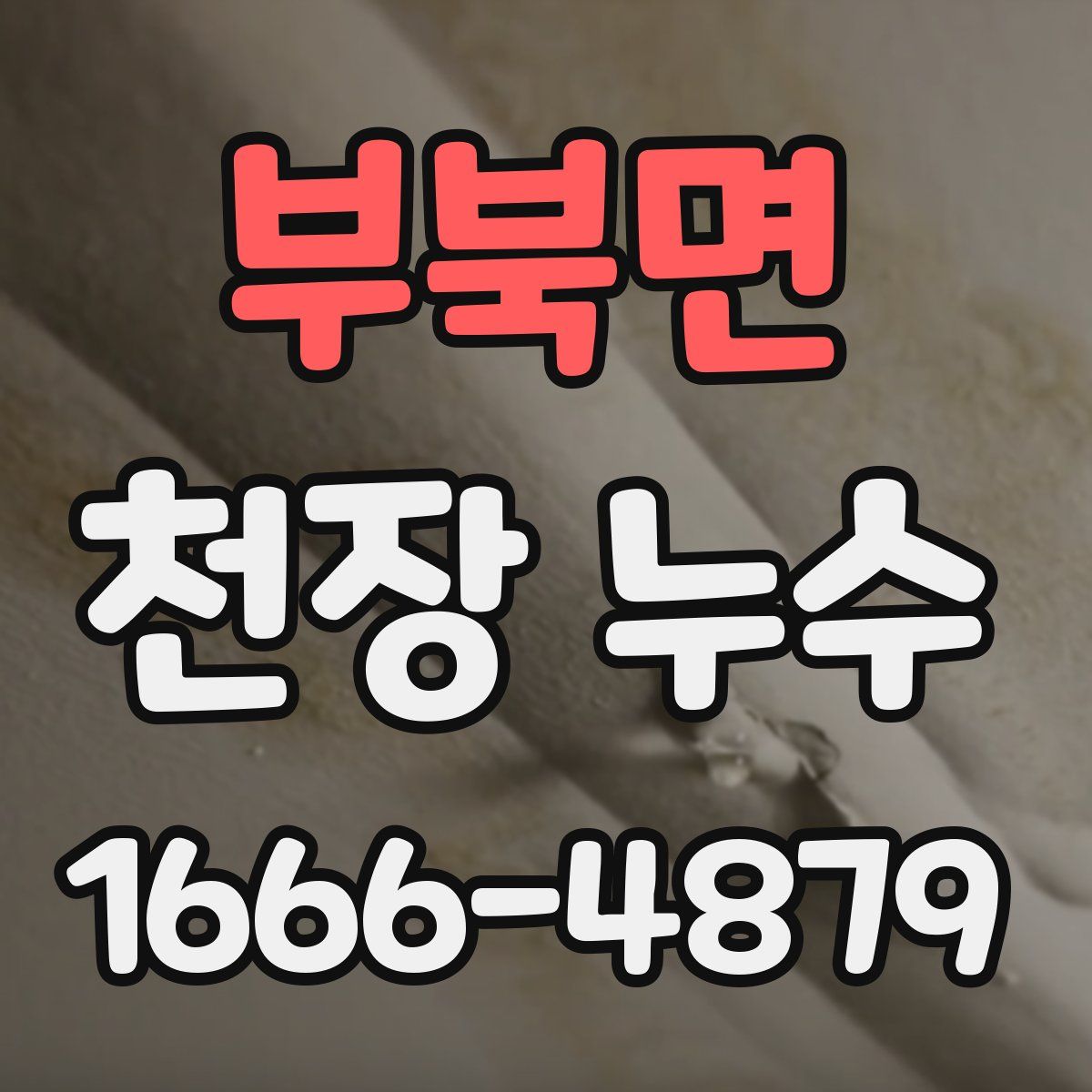 부북면 천장 누수