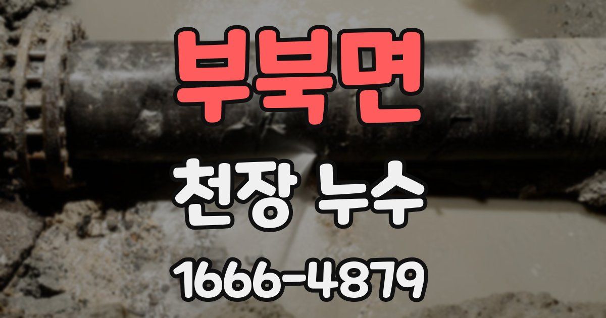 부북면 천장 누수