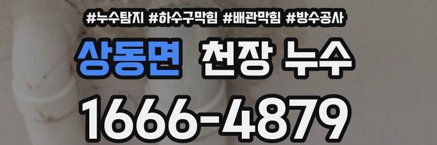 상동면 천장 누수