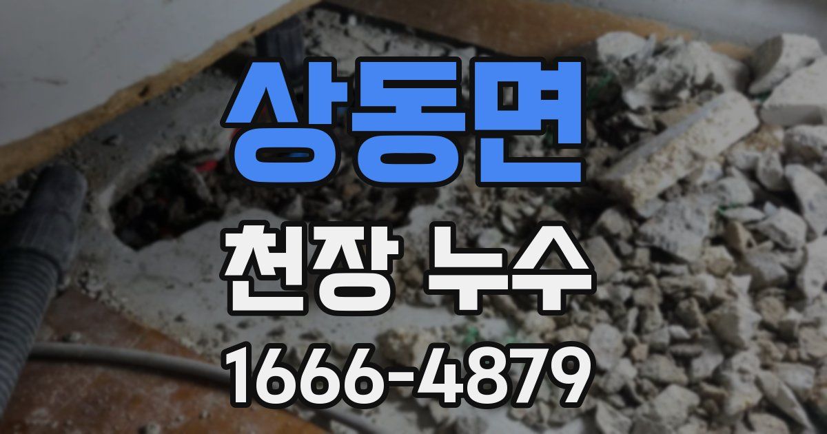 상동면 천장 누수
