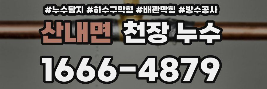 산내면 천장 누수