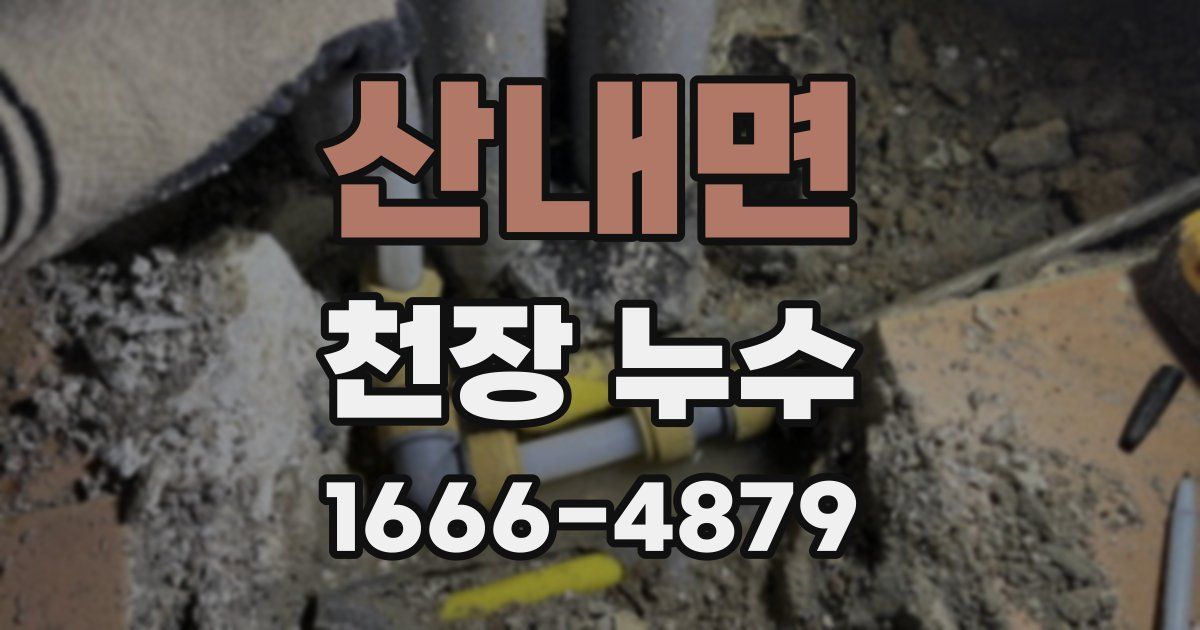 산내면 천장 누수