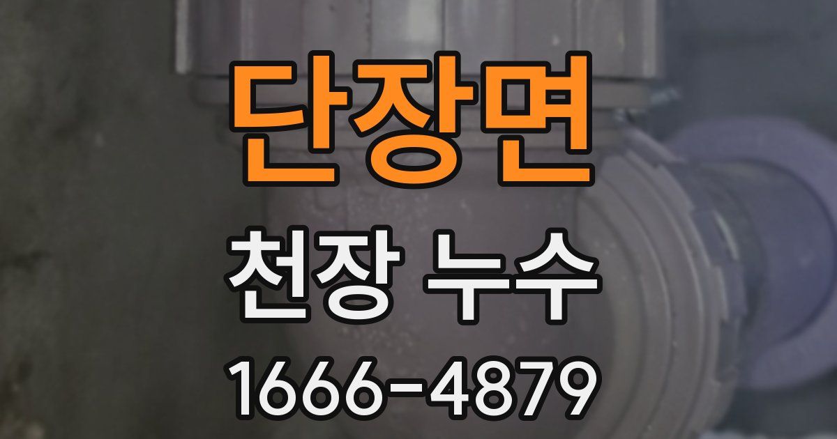단장면 천장 누수