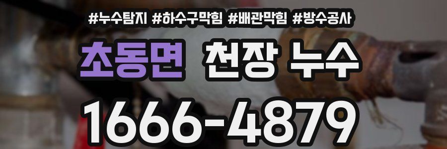 초동면 천장 누수