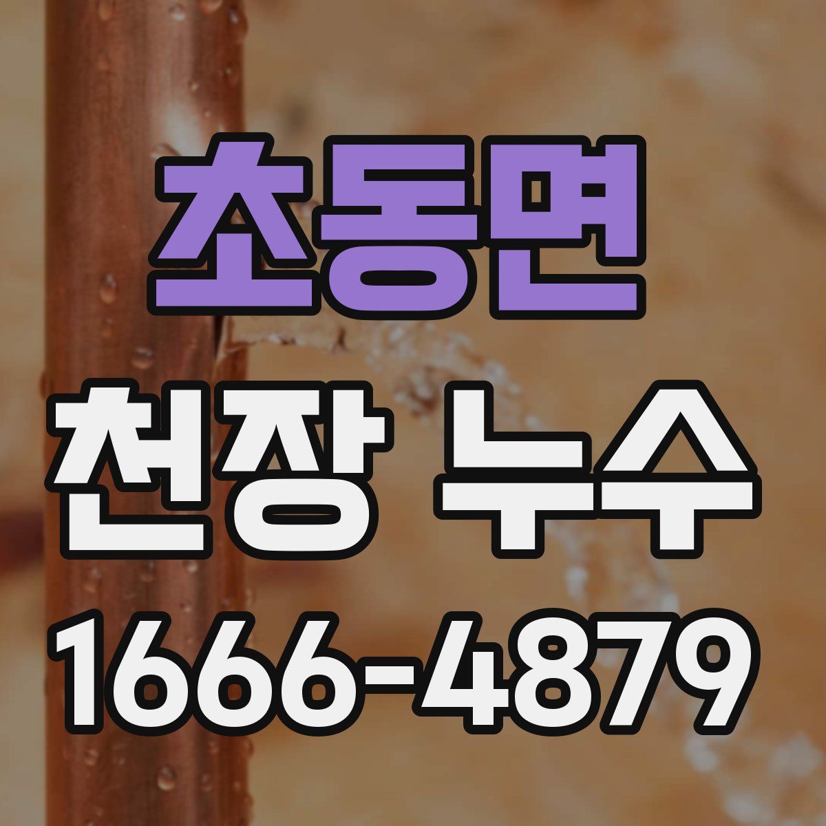 초동면 천장 누수
