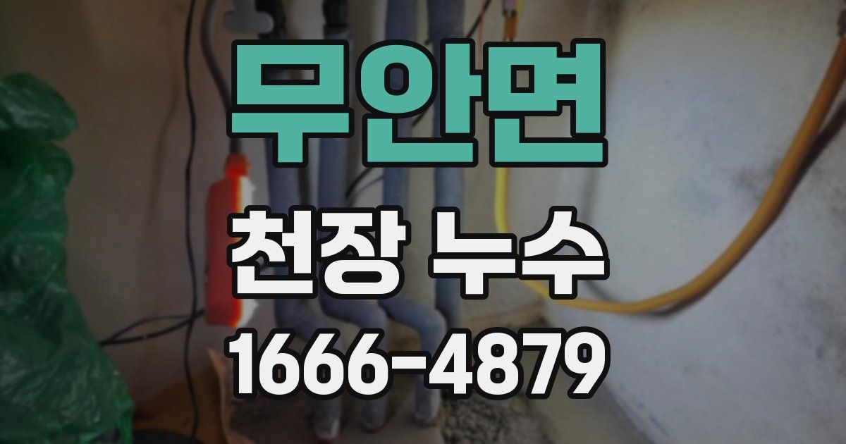 무안면 천장 누수