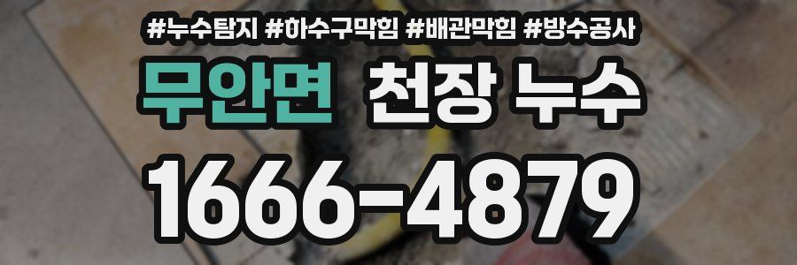 무안면 천장 누수
