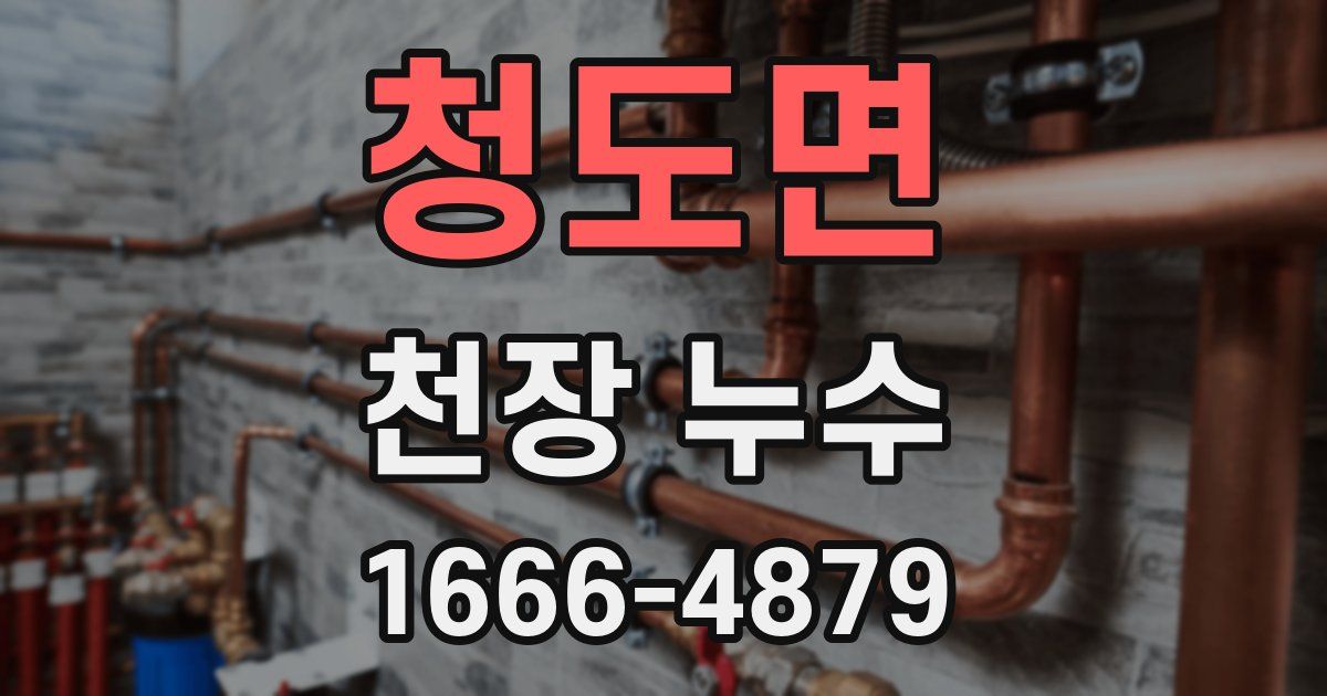 청도면 천장 누수