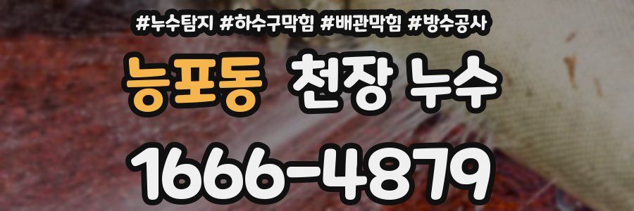 능포동 천장 누수