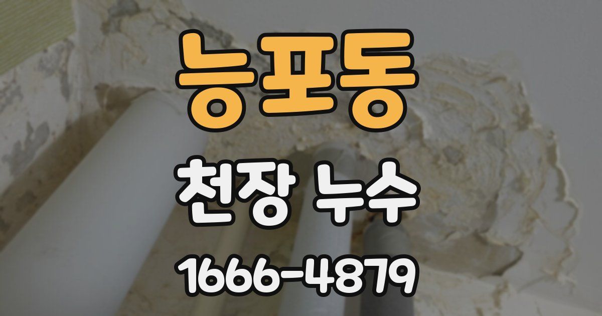 능포동 천장 누수