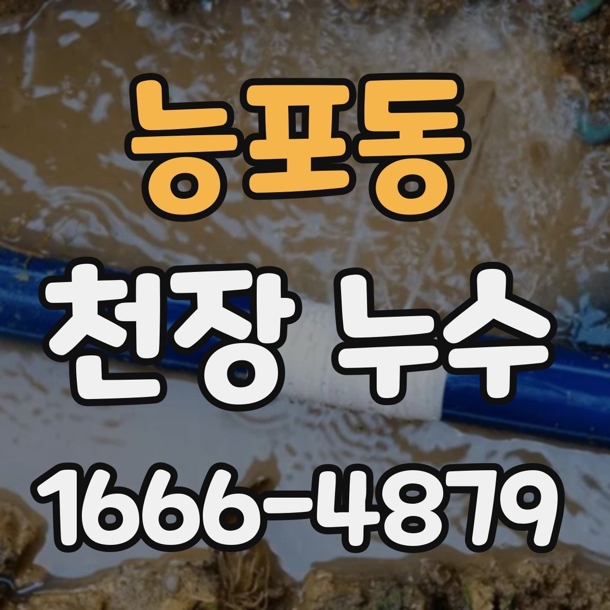 능포동 천장 누수