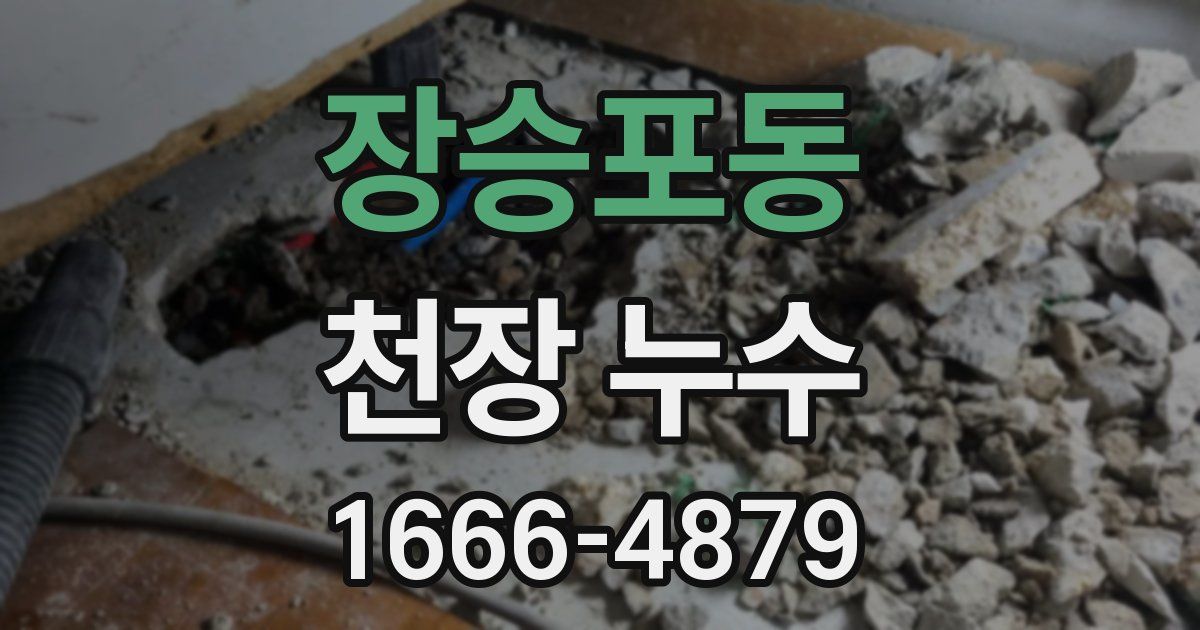 장승포동 천장 누수
