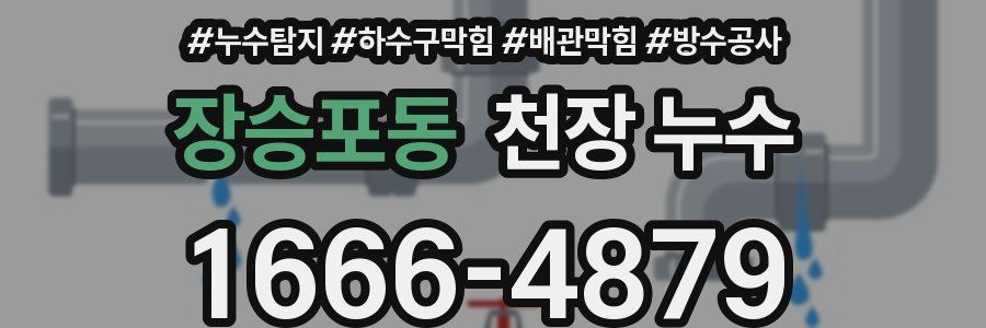 장승포동 천장 누수