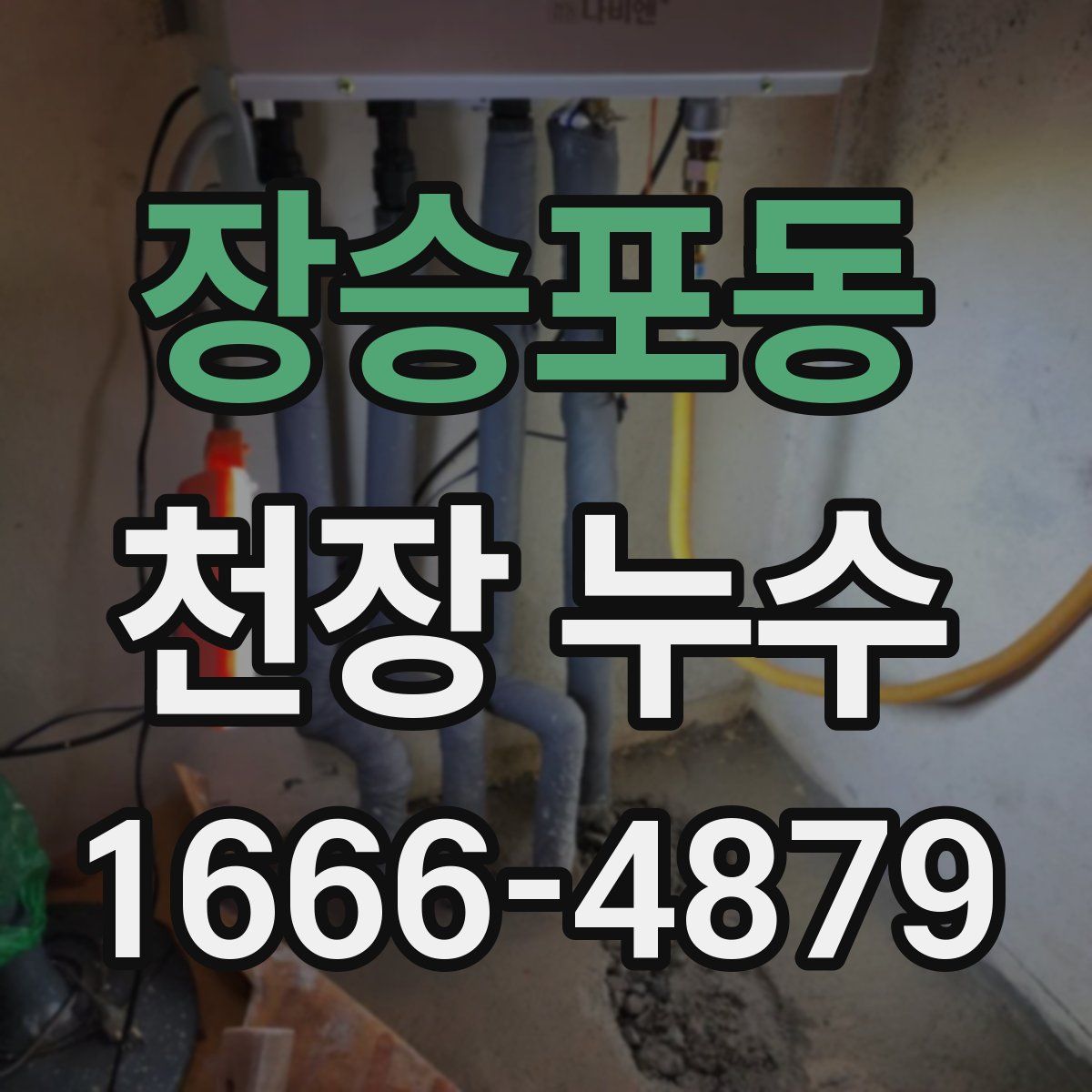 장승포동 천장 누수