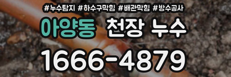 아양동 천장 누수