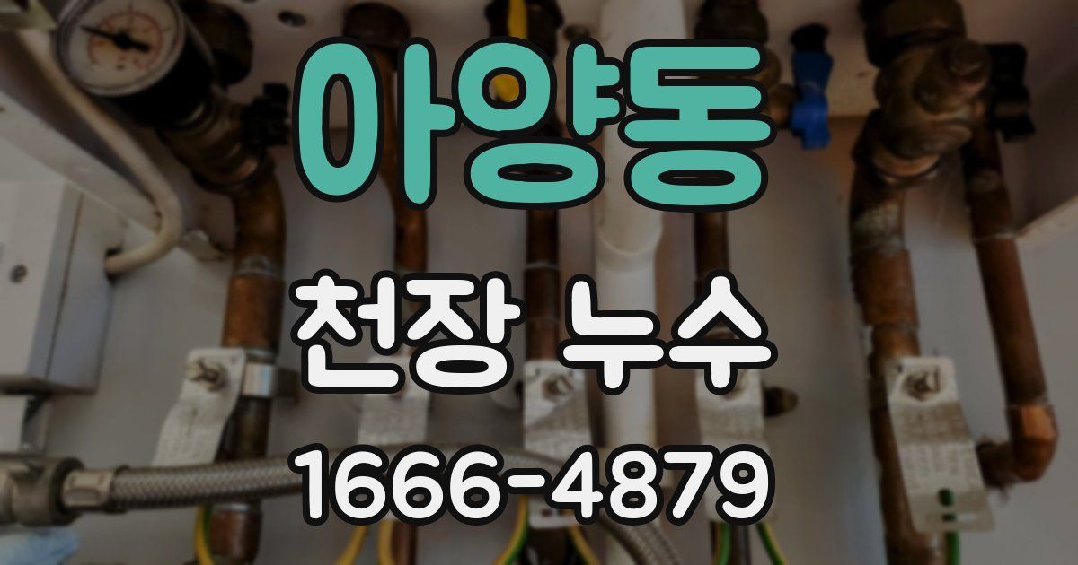아양동 천장 누수