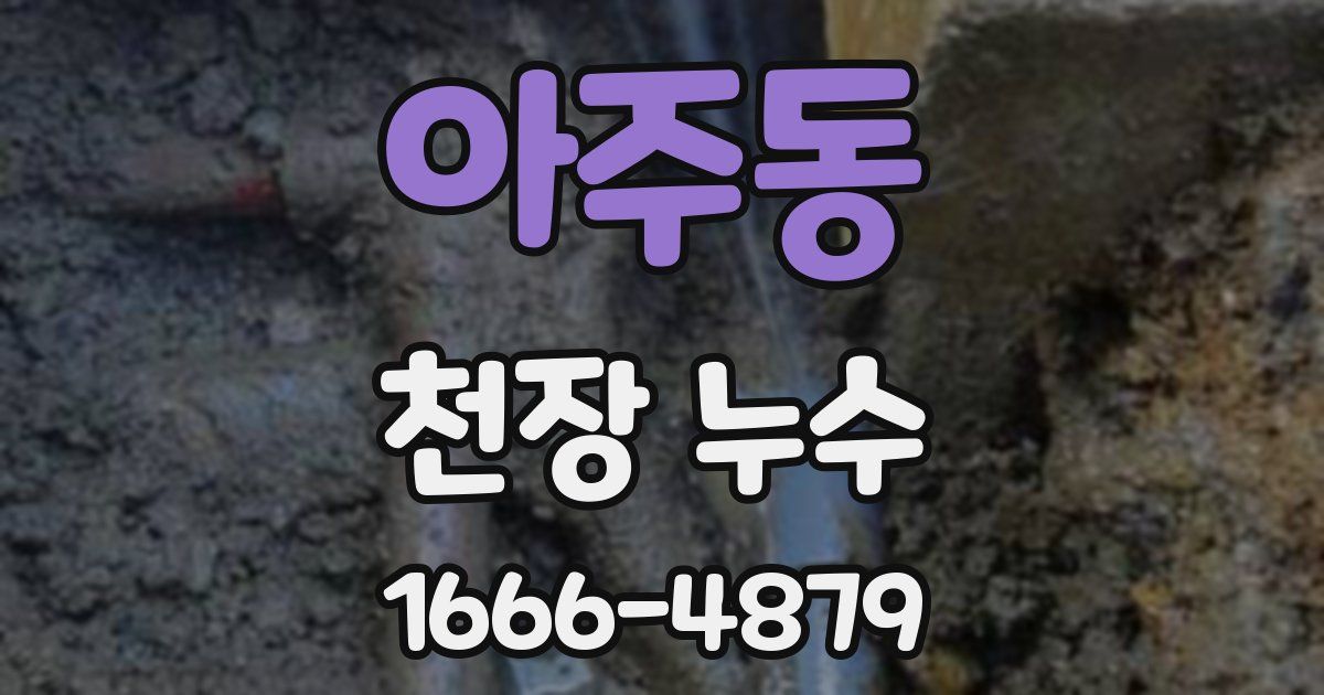 아주동 천장 누수