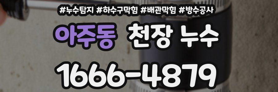 아주동 천장 누수