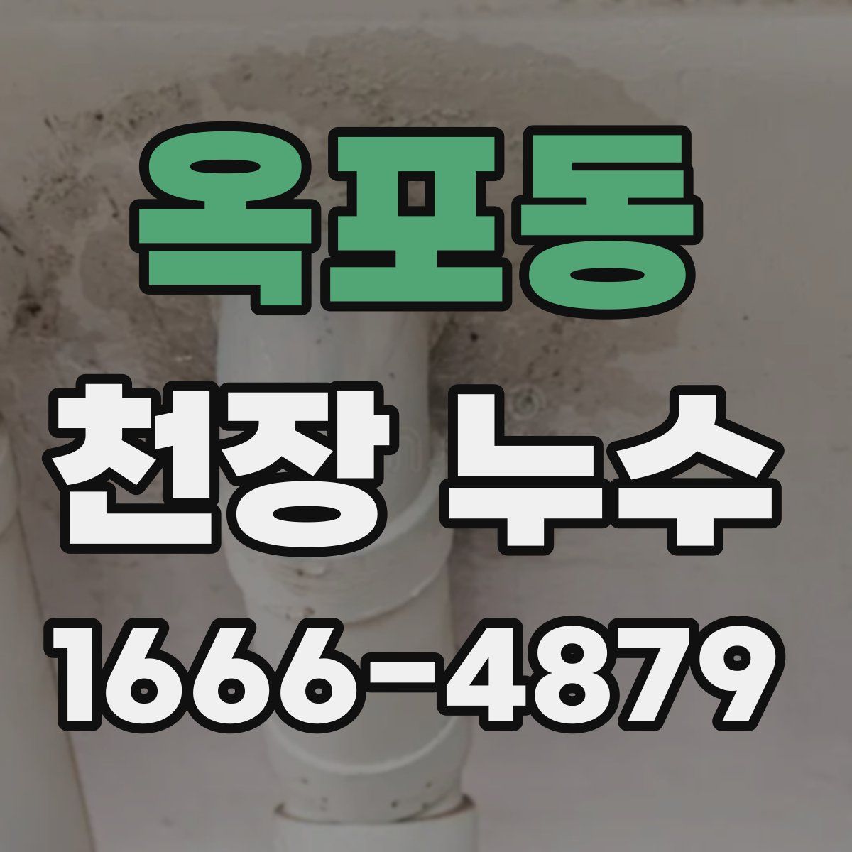 옥포동 천장 누수