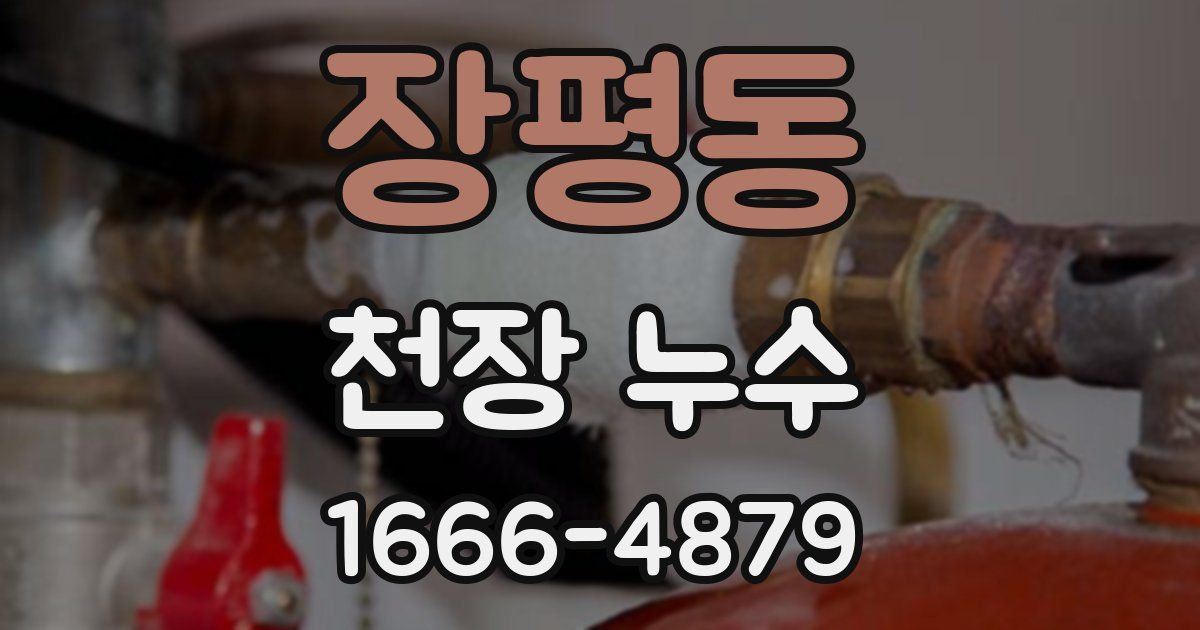 장평동 천장 누수