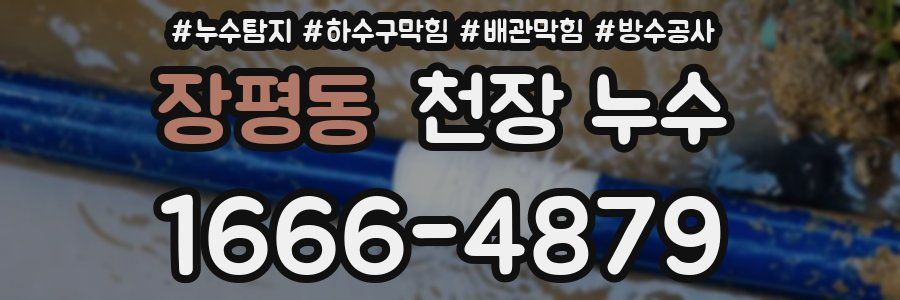 장평동 천장 누수