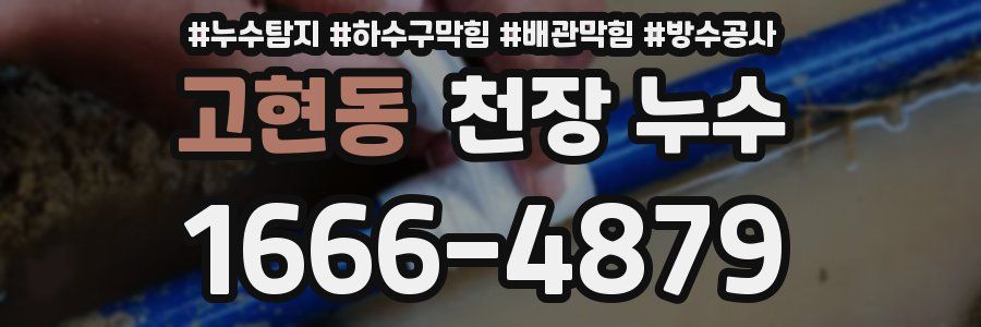 고현동 천장 누수