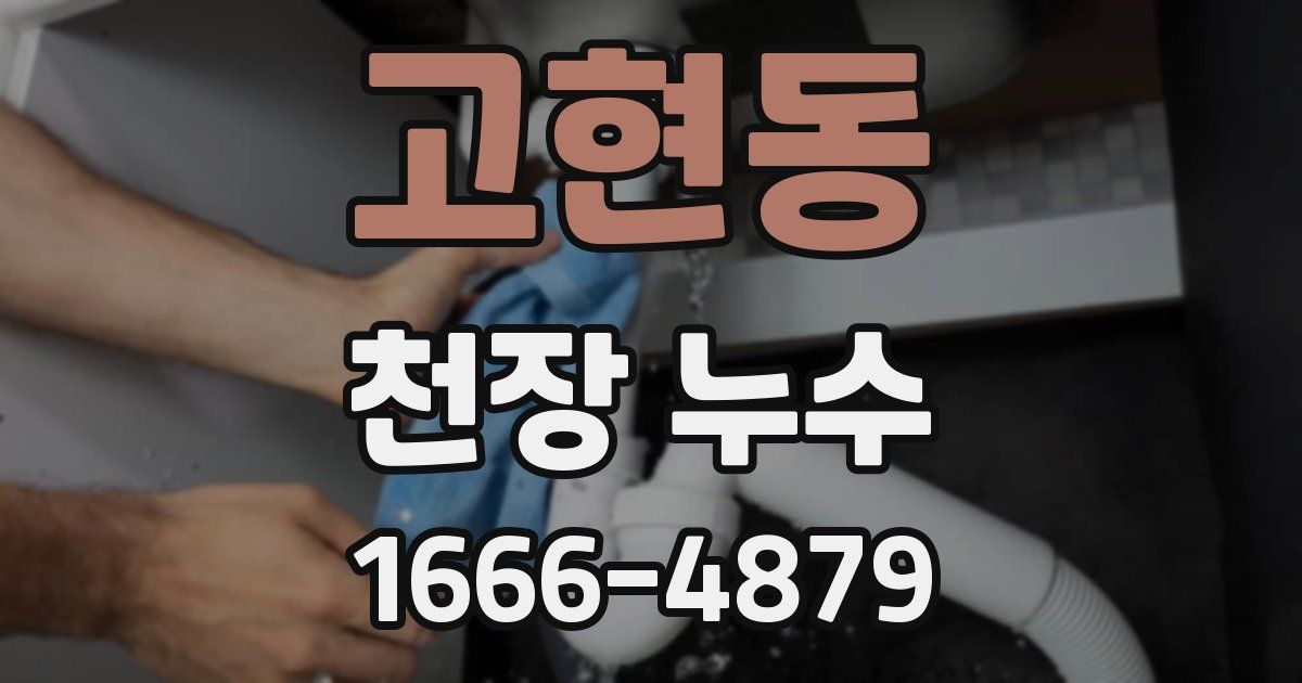 고현동 천장 누수