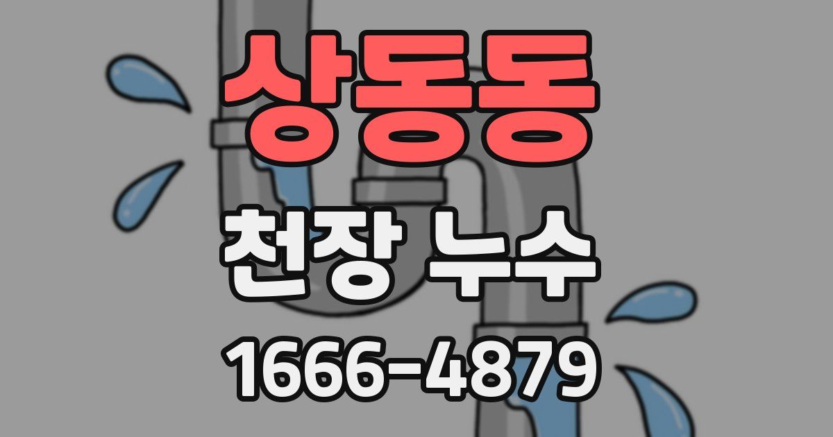상동동 천장 누수
