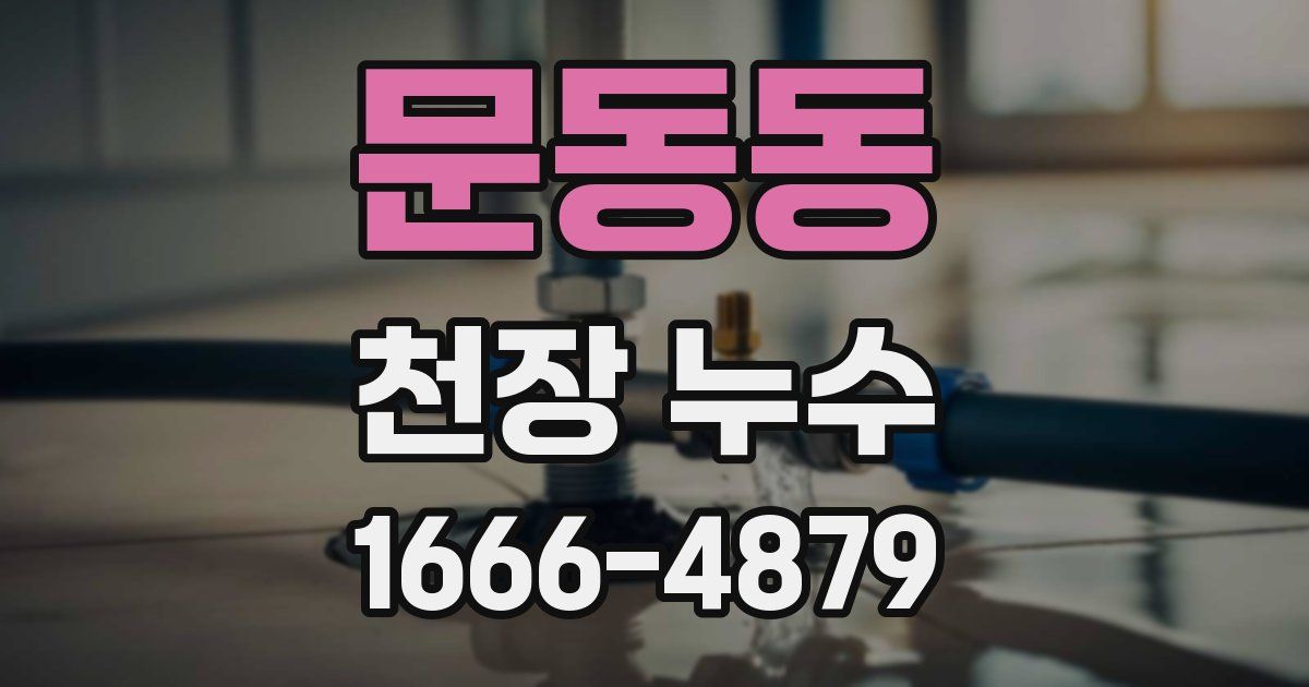 문동동 천장 누수