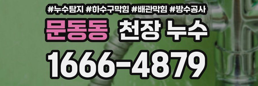 문동동 천장 누수