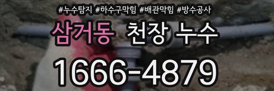 삼거동 천장 누수