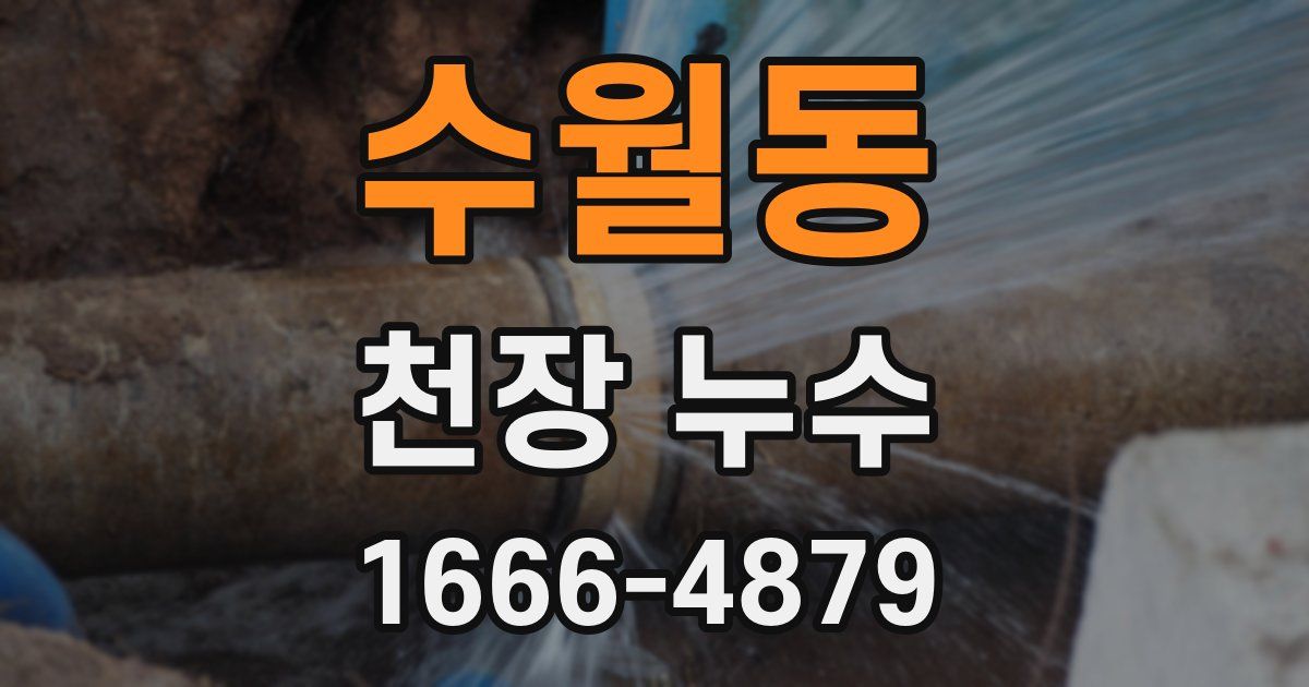 수월동 천장 누수