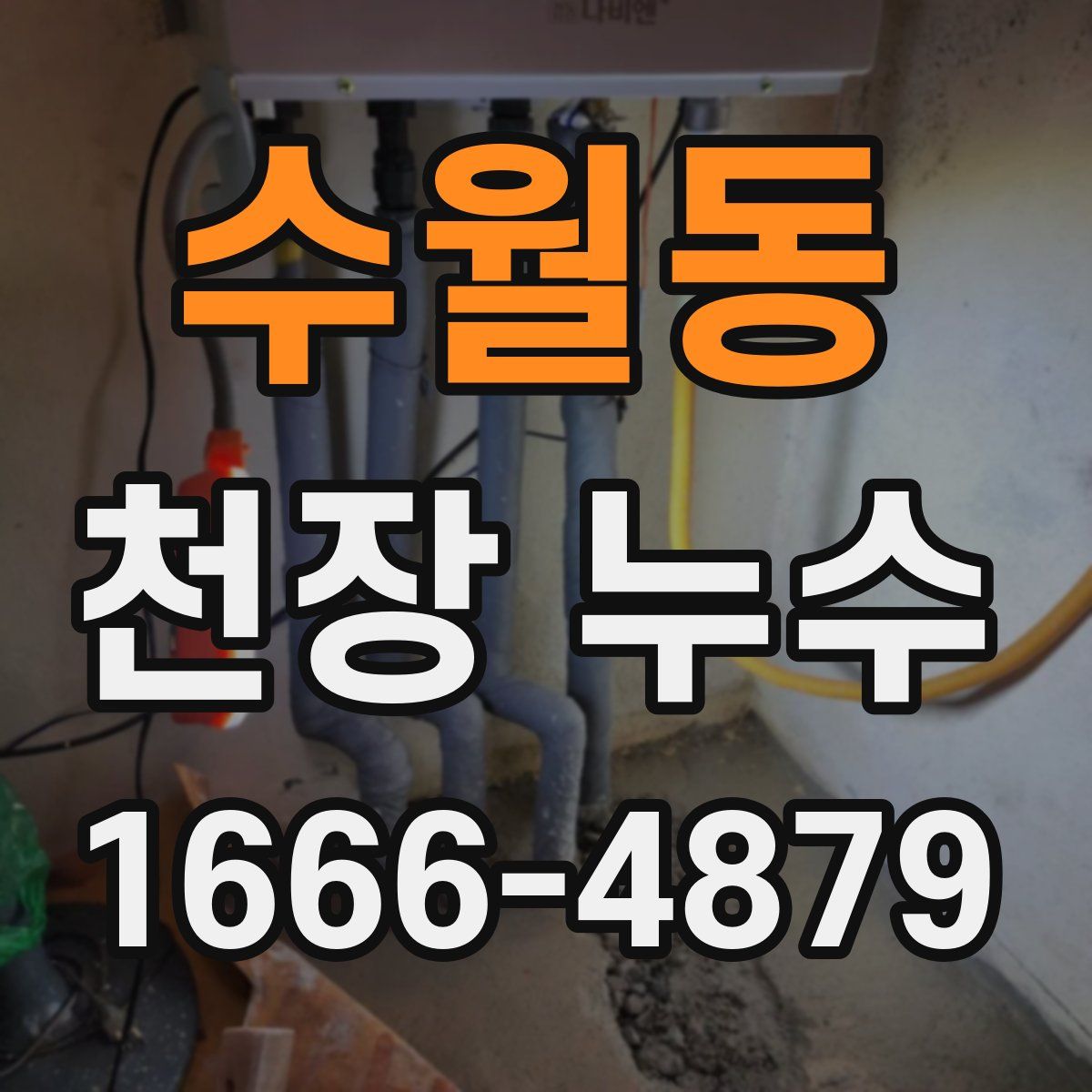 수월동 천장 누수