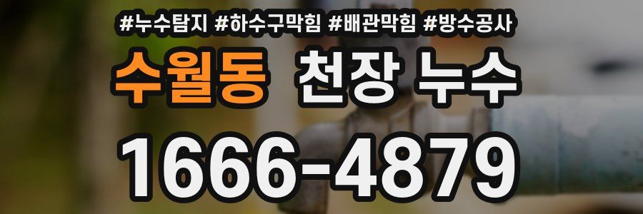 수월동 천장 누수