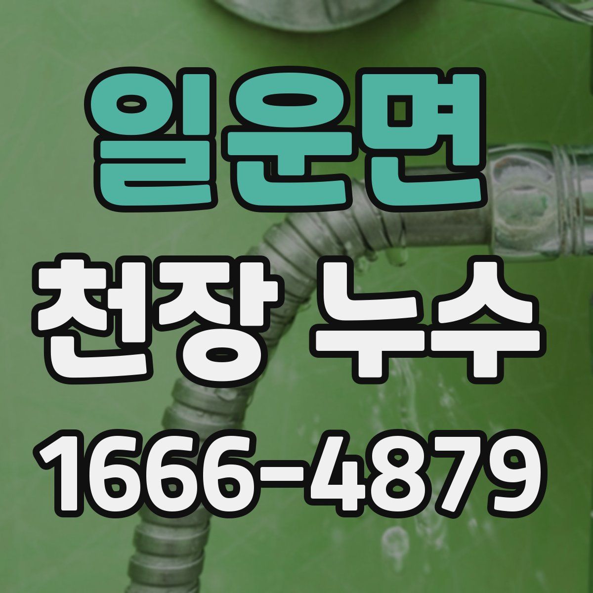 일운면 천장 누수