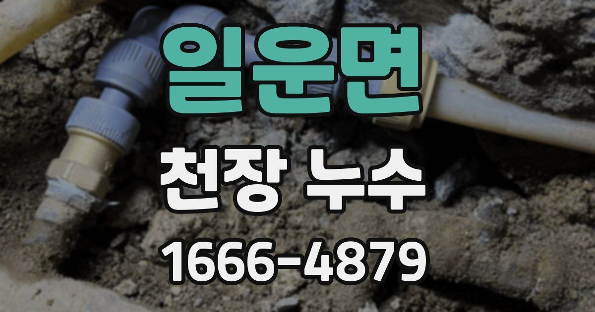 일운면 천장 누수