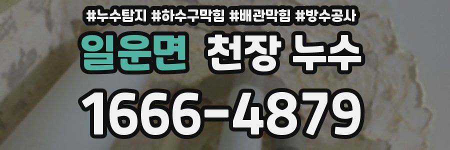 일운면 천장 누수