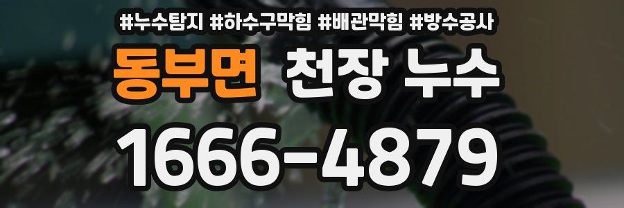 동부면 천장 누수