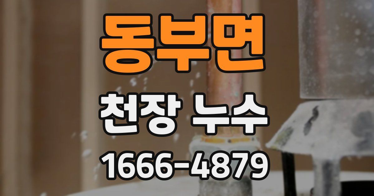 동부면 천장 누수