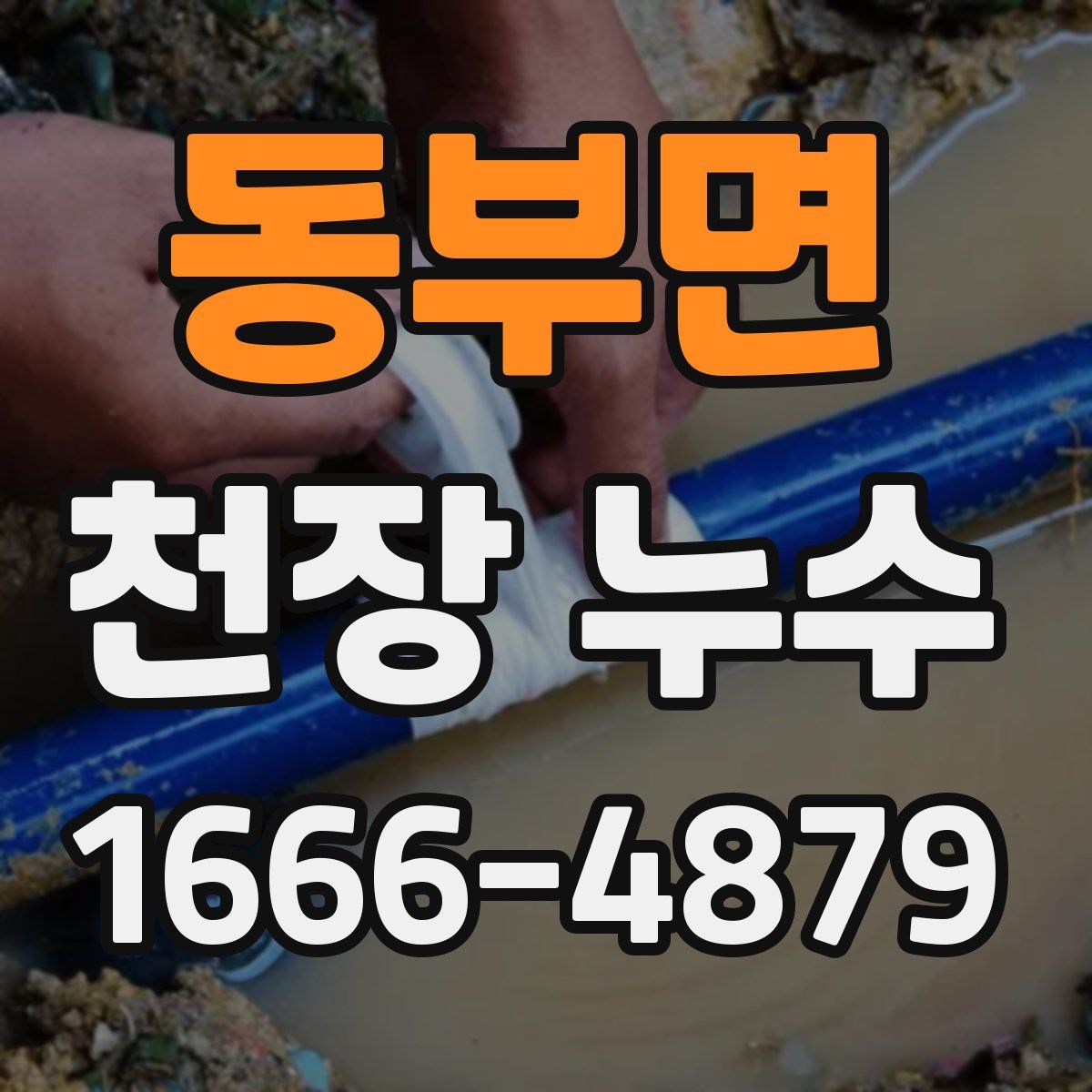 동부면 천장 누수