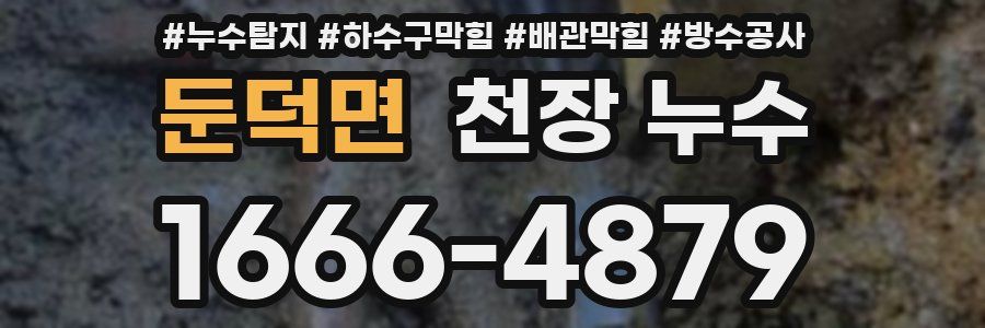 둔덕면 천장 누수
