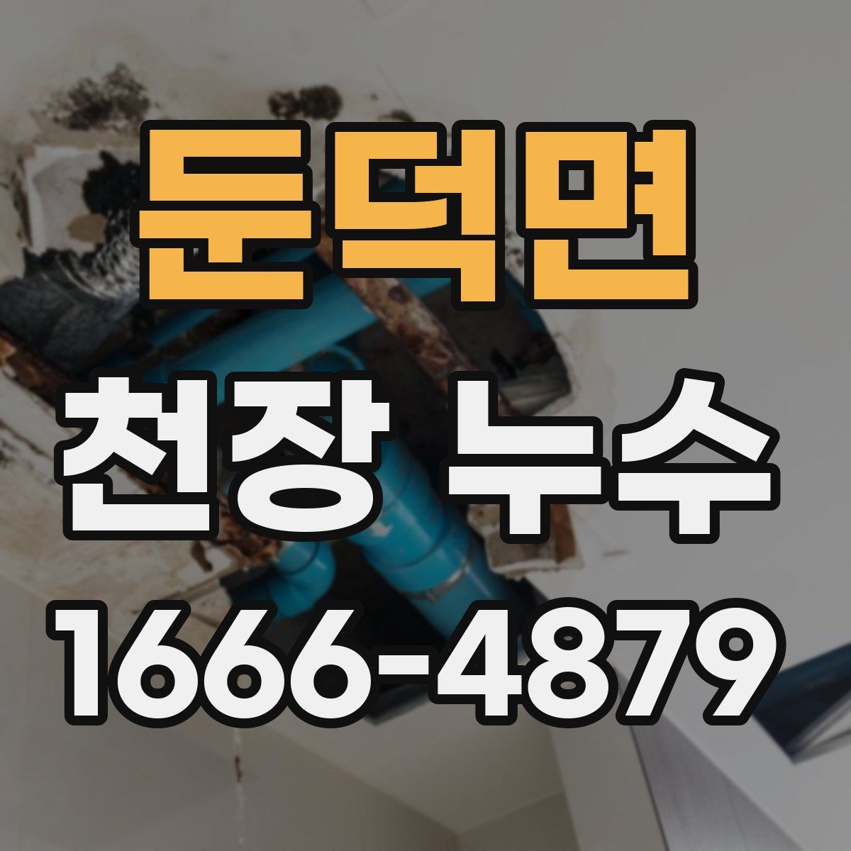 둔덕면 천장 누수